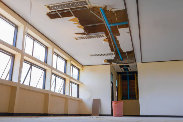 Best Residential water damage restoration  in Boyce, LA