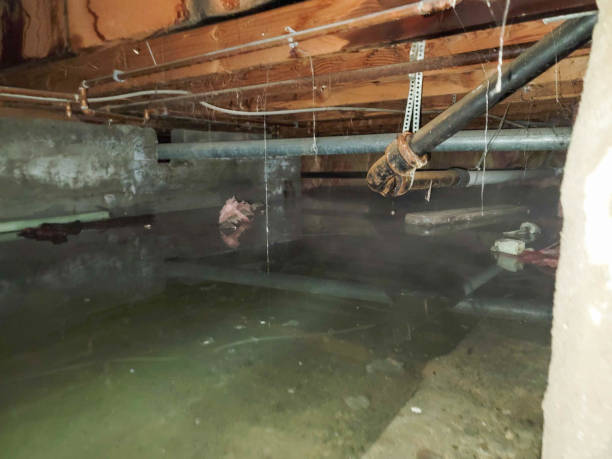 Reliable LA Water damage restoration Solutions