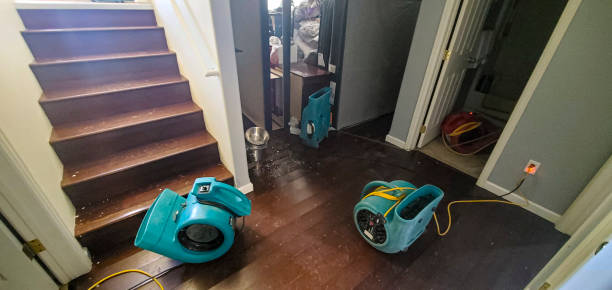 Best Professional water damage repair  in Boyce, LA