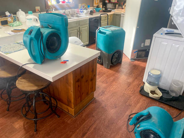 Best Water damage cleanup near me  in Boyce, LA