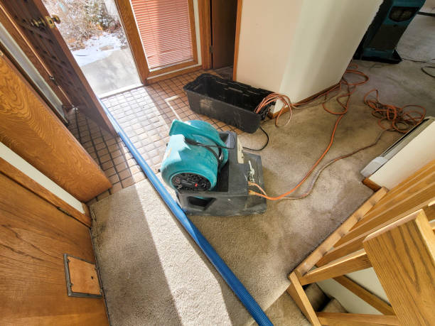 Best Flood damage cleanup  in Boyce, LA