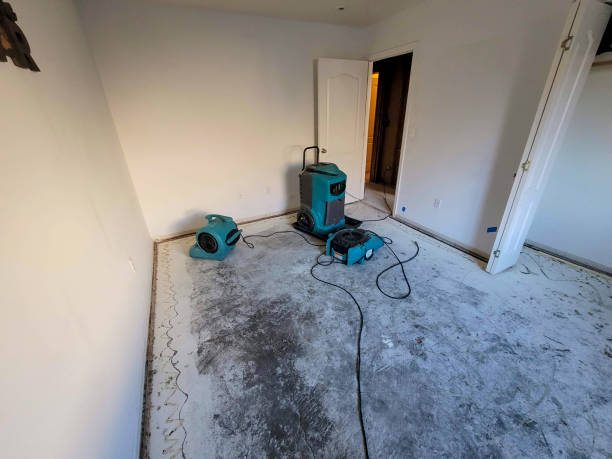 Best 24-hour water damage restoration  in Boyce, LA