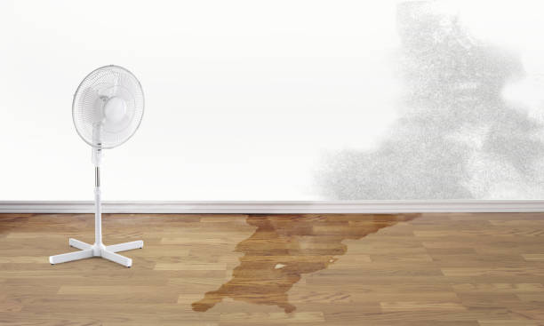 Best Flood restoration services  in Boyce, LA