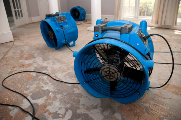 Best Local water damage restoration  in Boyce, LA