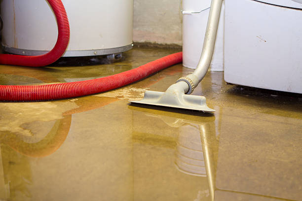 Best Water damage restoration company  in Boyce, LA