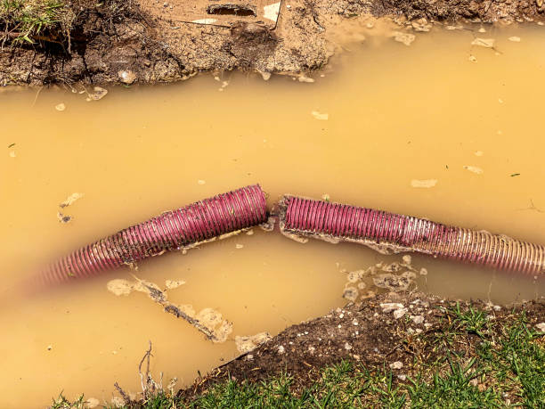 Best Mold removal after water damage  in Boyce, LA