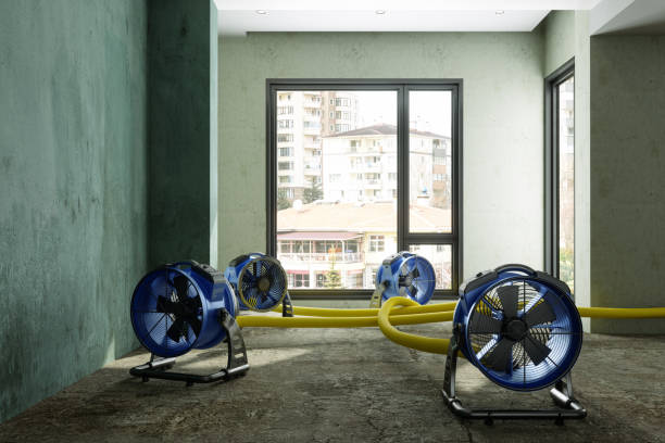 Best Water damage contractors near me  in Boyce, LA